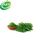 Free Samples Organic Moringa Leaf Powder