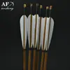 /product-detail/af-ba03-real-5-turkeys-feathers-steel-broadheads-hunting-archery-bamboo-shaft-arrows-for-recurve-bow-60442481305.html