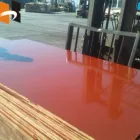 18mm brown black red concrete wall fin form shuttering plywood board