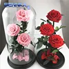 Eternal Roses real natural preserved roses in glass dome/tube for sale