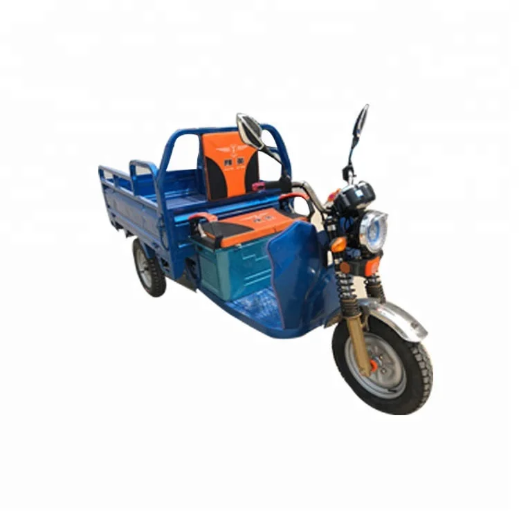 Adulto Carga Elétrica Triciclo Motorizado 3 roda para venda