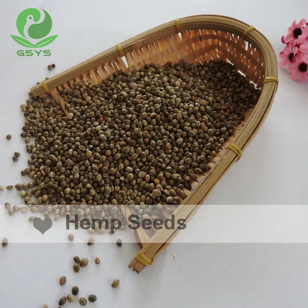 for sale chinese natural high quality hemp seeds