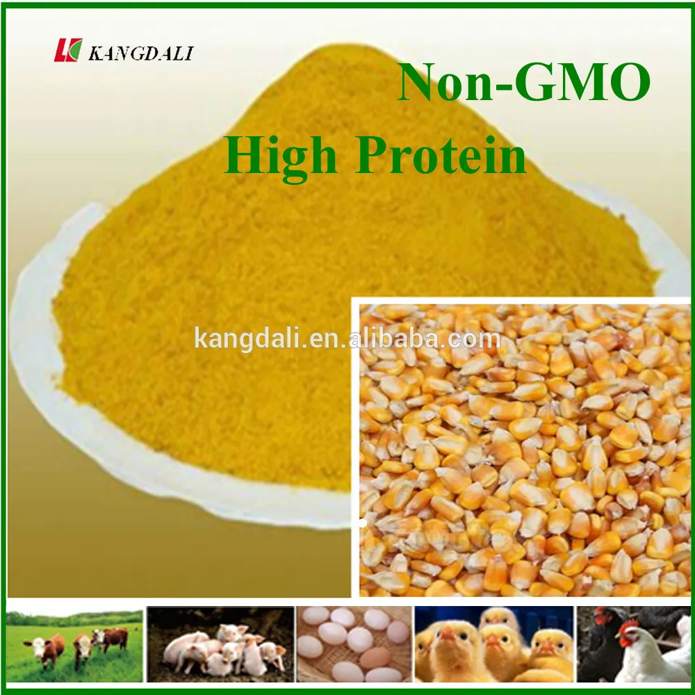 Corn Gluten Meal 60 For Chicken Feed Protein Buy Corn Gluten Meal