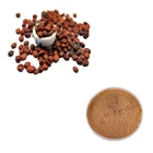 HONGDA Factory Supply Jujuboside Jujube Seed Powder Wild Jujube Extract Jujube Powder