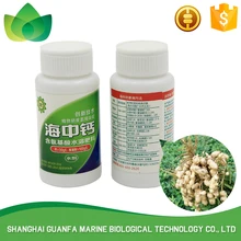 Factory sale various widely used marine calcium fertilizer chinese fertilizer