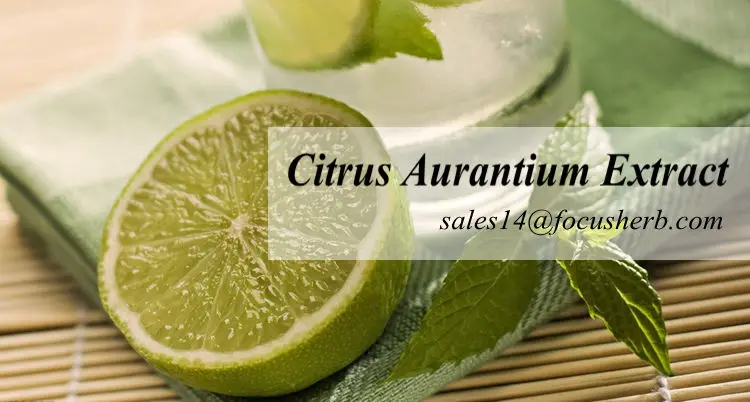Citrus Aurantium Extract.jpg