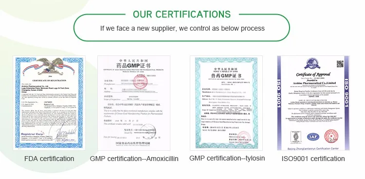 4.certificate.jpg