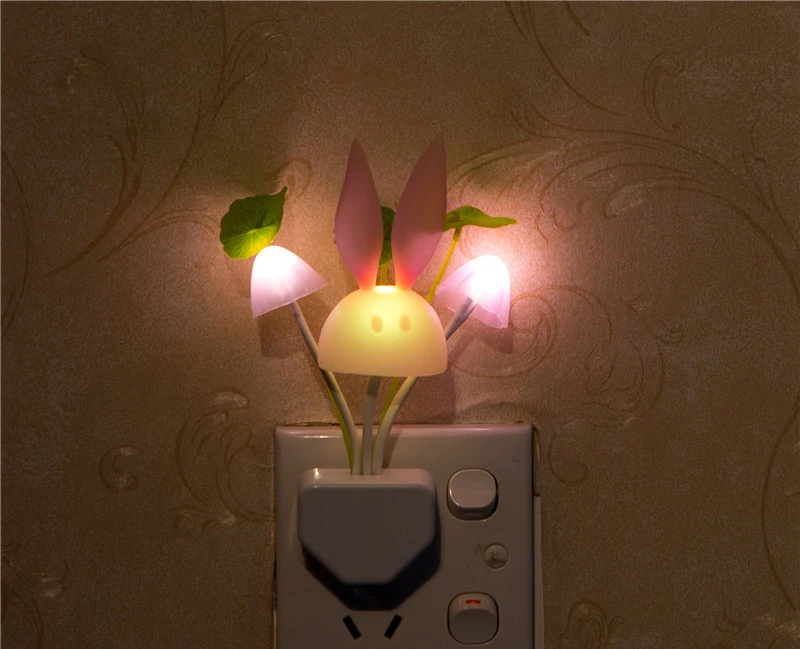 night light  (4)