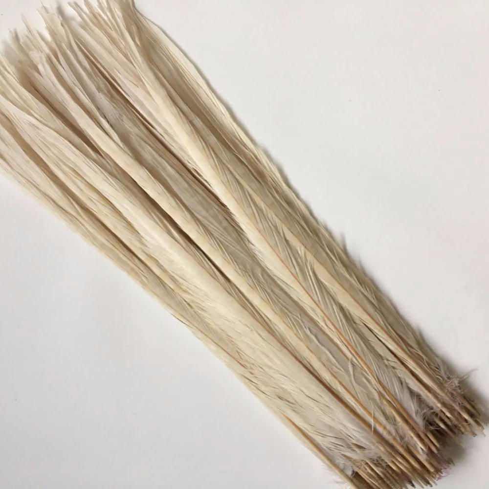 61woc0EW0+L._SL1001_