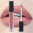 Waterproof Customize Matte Lipstick High Pigment Long Lasting Private Label Matte Nude Lipstick
