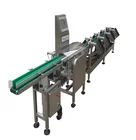 Customization Weight Checking Processing Machine