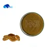 Phellinus Linteus Mushroom Extract with 10% -60% Polysaccharide