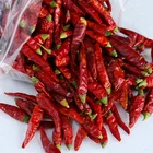 Factory Supply Spices Super Hot Spicy Chili Pepper Red Chilli Exporters