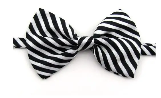 36020170425190550354