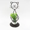 Classic mini cute cat shape clear glass planter bulb vase
