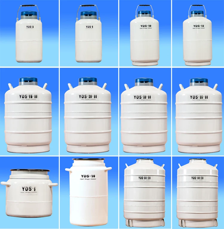 container liquid nitrogen price
