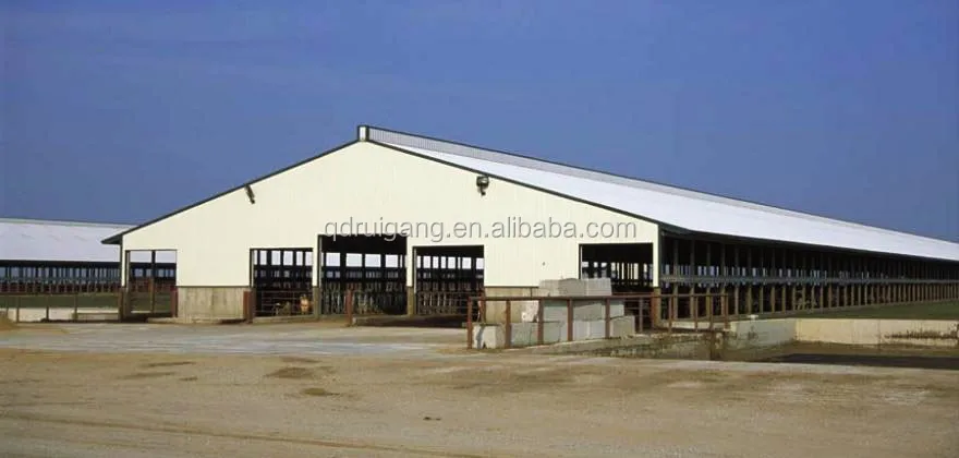 Easy Install Prefabricated Cattle Farming Barn Steel Structure Cow