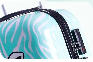 Luggage shiny PC shell.JPG