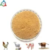 /product-detail/feed-grade-choline-chloride-60-corn-cob-clorua-choline-for-dairy-cattle-60806001050.html