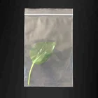 JWZB01 Convenient PE Plastic Grip Seal Zip Bags with Logo Printed