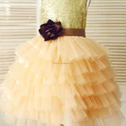 Gold Sequin Champagne Cupcake Tulle Wedding Flower Girl Dress
