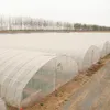 /product-detail/high-quality-tunnel-greenhouse-60719980502.html