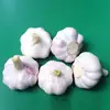 /product-detail/2019-fresh-garlic-white-garlic-62146149722.html