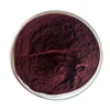 Factory supply Anti-cancer to prevent neural aging, enhance heart function Blueberry Extract Bilberry Extract 5:1 10:1 20:1