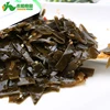 36g/bag Wholesale Chinese Natural Spicy Kelp Products for Japan Food