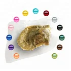 Wholesale Pearl Oyster Salt Water, Akoya Oyster with Pearl