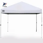 Custom Printed Folding Tent Advertising Tent Wedding Party