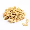 /product-detail/dry-style-cashew-kernels-cashew-nuts-whole-white-and-broken-cashew-62162947415.html