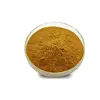 /product-detail/natural-summer-grass-winter-worm-extract-wholesale-cordyceps-sinensis-extract-chinese-caterpillar-fungus-60839825072.html