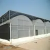 Amazing MultiSpan Agricultural plastic green house for tomato / cucumber