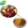/product-detail/100-pure-natural-safe-caffeine-kola-nut-extract-powder-60680130987.html