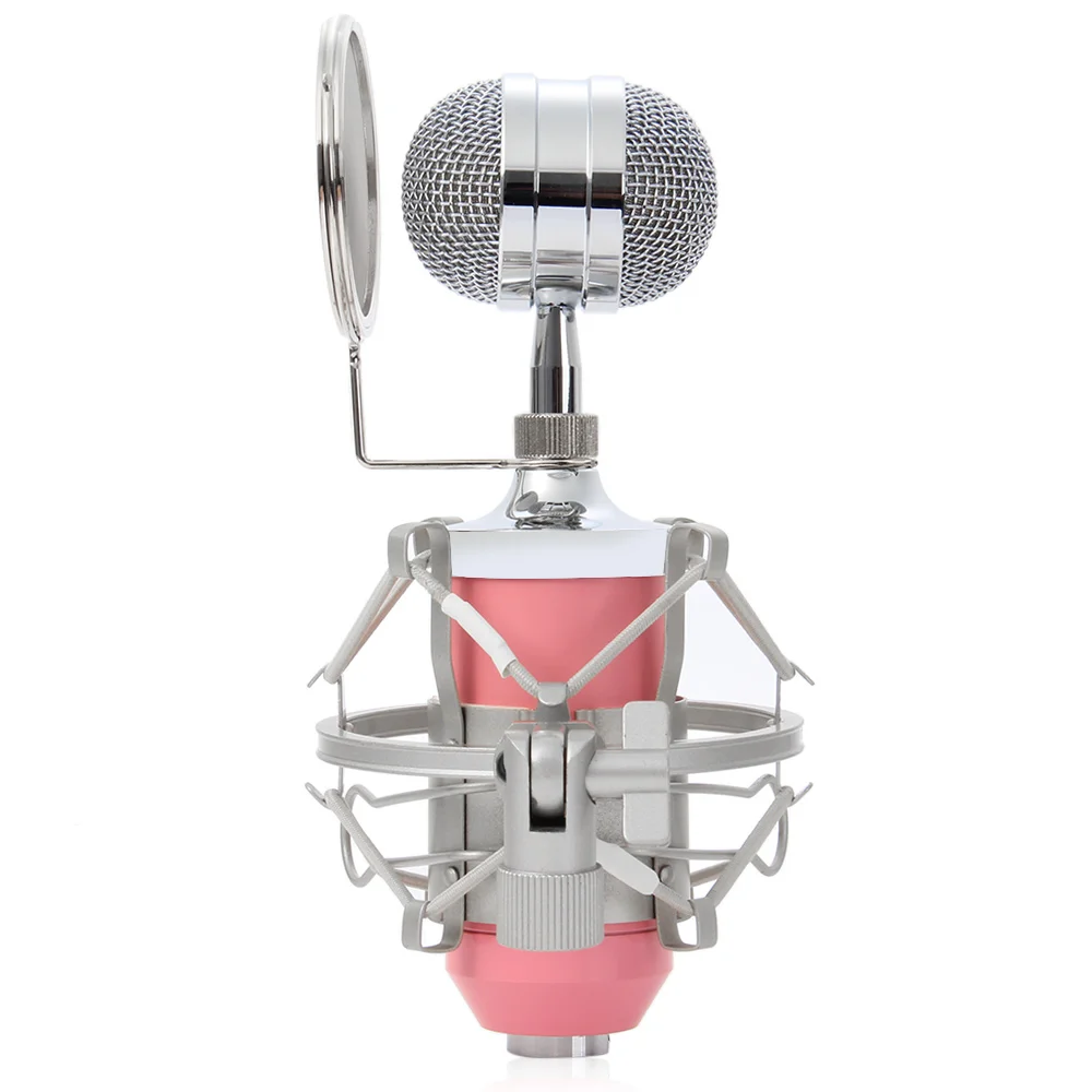 Bm8000 Professional Sound Studio Recording Condenser Wired Microphone