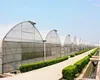 /product-detail/greenhouse-for-vegetables-flower-plastic-tunnel-greenhouse-and-used-hot-dip-galvanized-steel-frame-pipe-60509418786.html