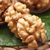 /product-detail/walnut-in-shell-walnut-kernel-60137270661.html