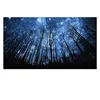 20"x36" Starry Night Forest Canvas Wall Art Prints,Landscape Canvas Picture Wall Decal,Stretched and Framed,Easy Hanging On