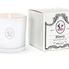 Wholesale Luxury Candle Set White Frosted Glass jar and Box Scented Soy Wax
