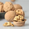 exported Chinese organic xinjiang low price walnut in shell