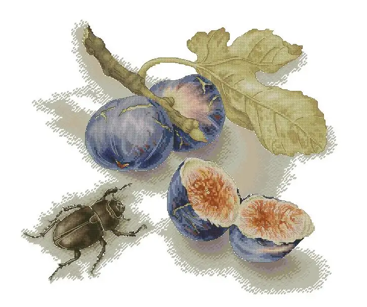 cs-2328 Cross Stitch Kit Fig and Longicorn Beetle Fruit and Insect