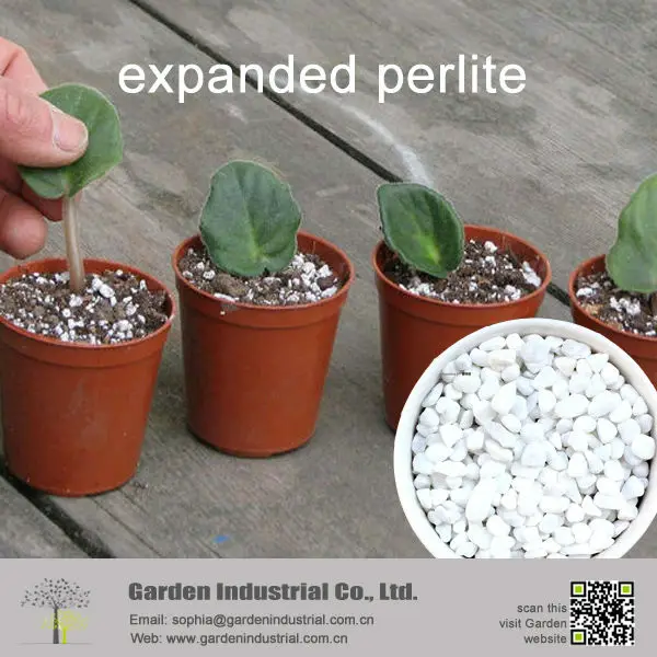 Bulk Expanded Perlite Best Selling Products
