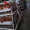 /product-detail/3-tier-or-4-layer-chicken-cages-egg-laying-hen-cage-battery-cage-60243533375.html