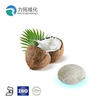 Pure Natural Organic coconut milk powder with best quality