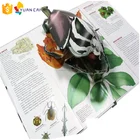 My Hot Educational Books Custom Color Paper Pop up Book Printing for Children