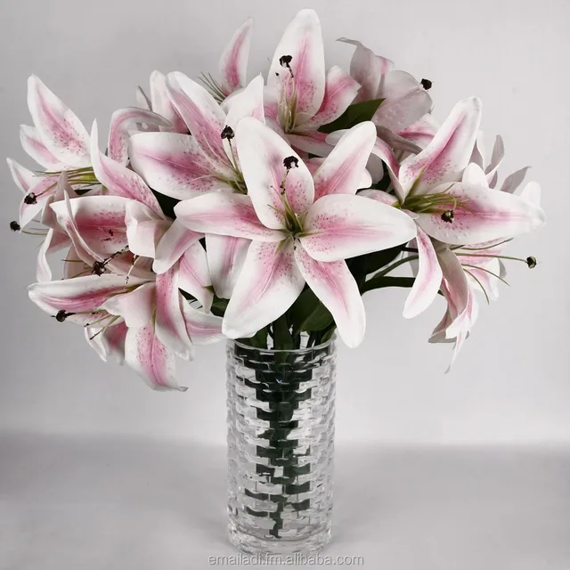 asiatic lily flower