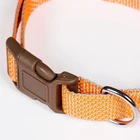 Wholesale pet supplies different color nylon dog training collar