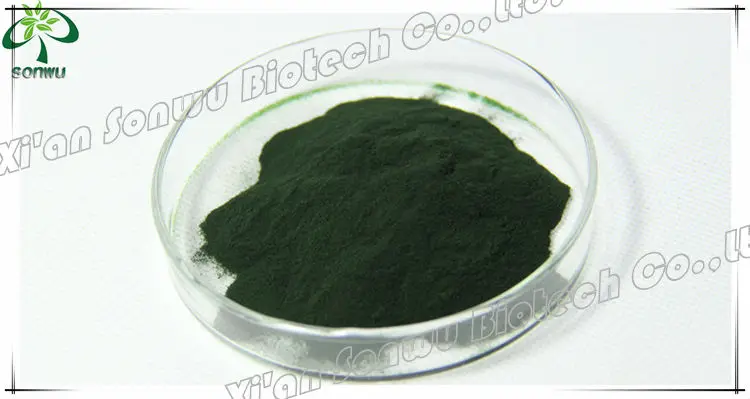 natural pure chlorophyll powder chlorophyl