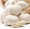 /product-detail/hot-sale-with-cheap-price-of-china-pure-white-garlic-62156343033.html